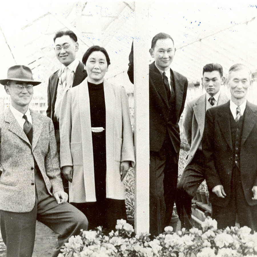 Black and white photo of six Japanese Americans (five men and one woman) wearing business attire and standing in what appears to be a green house.